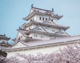 viaje a Japón