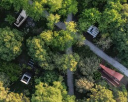 Venice Architecture Biennale