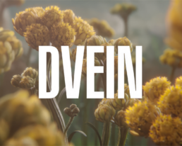 Dvein | MArch Master in Architecture and Design