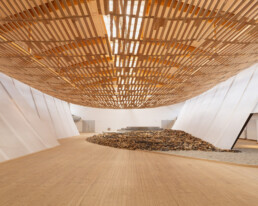 Earth/Tree | MArch Máster en Arquitectura y Diseño