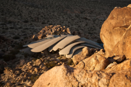 Casa en el desierto, Parque Nacional Joshua Tree, California, Kendrick Bangs Kellogg