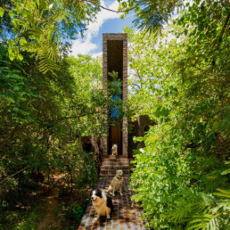House of Tall Chimneys, Waterberg, Sudáfrica, Frankie Pappas