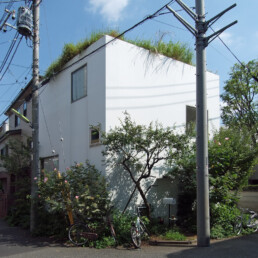 kazuyo sejima casa en un huerto de ciruelos House in a Plum Grove residencial arquitectura