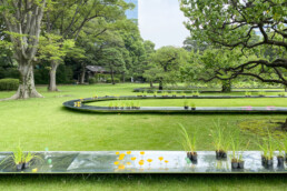 pabellón suimei kazuyo sejima shinjuku gyoen arquitectura efímera