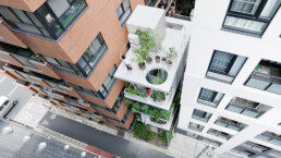 ryue nishizawa jardín casa solar compacto japón arquitectura vivienda oficinas