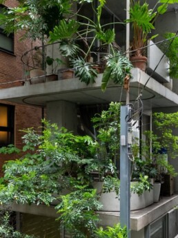 ryue nishizawa jardín casa solar compacto japón arquitectura vivienda oficinas