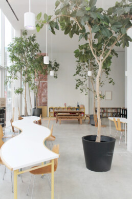 shibaura house sanaa accesibilidad comunidad arquitectura