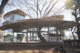tezuka architects fuji school tree circular wooden crystal playground