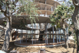 tezuka architects fuji school tree circular wooden crystal playground