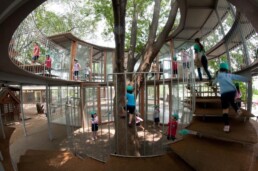 tezuka architects fuji school tree circular wooden crystal playground