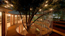 tezuka architects fuji school tree circular wooden crystal playground