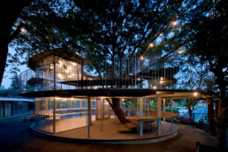 tezuka architects fuji school tree circular wooden crystal playground