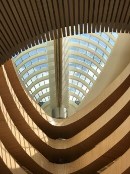 Universitätsbibliothek Recht Santiago Calatrava Zurich Switzerland Library Architecture Natural Light Interior Courtyard Organic Structure