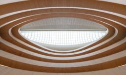 Universitätsbibliothek Recht Santiago Calatrava Zurich Switzerland Library Architecture Natural Light Interior Courtyard Organic Structure