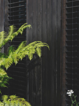 francesc rifé s29 house exit projectes