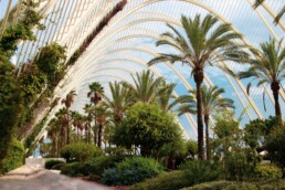 estudiar valencia arquitectura primavera verano luz VALENCIA