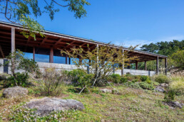 Casa de Té Jeju Álvaro Siza Carlos Castanheira
