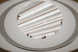 Ampliación Museo museoa BBAA Bilbao Foster partners