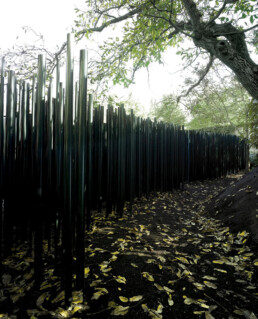 Les Cols Pavellons RCR